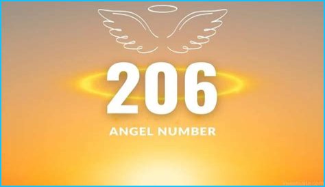 
ANGEL NUMBER 206
